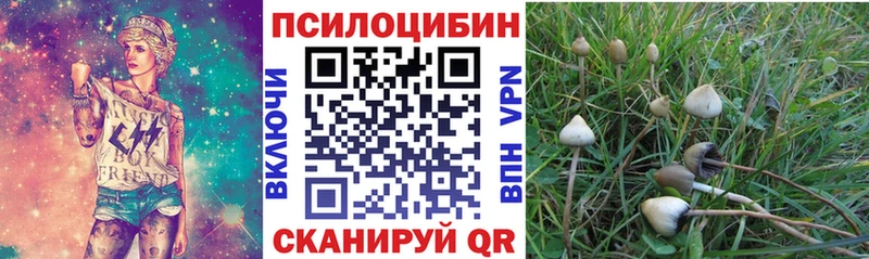 Псилоцибиновые грибы Cubensis Купить закладки Бор